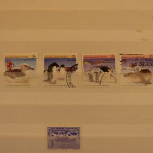 Pinguins klein thema kavel