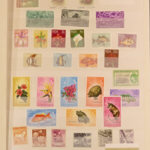 Wereld leuk klein gemengd kavel